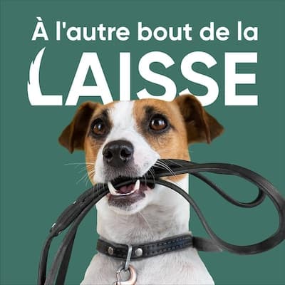 À l'autre bout de la laisse