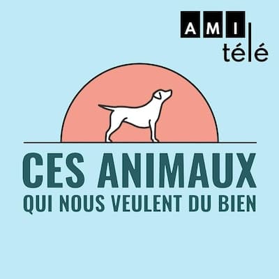Ces animaux qui nous veulent du bien