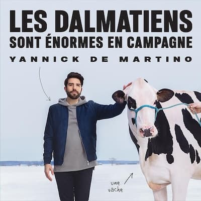 Yannick de Martino : <em>Les dalmatiens sont énormes en campagne</em>